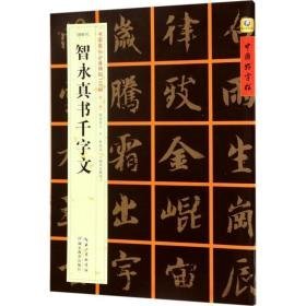 [隋楷书]智永真书千字文 毛笔书法 张鹏涛 主编