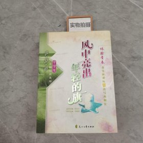 风中亮出年轻的旗/读品悟中学生体验阅读系列