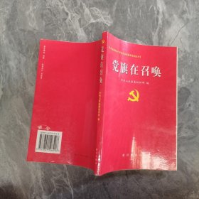 党旗在召唤