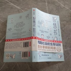 智慧书：假如我现在25岁，最想做的N件事（与《君王论》《孙子兵法》并称为三大智慧奇书）