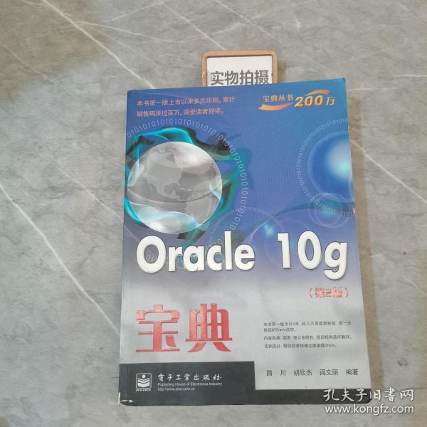 Oracle 10g宝典（第2版）