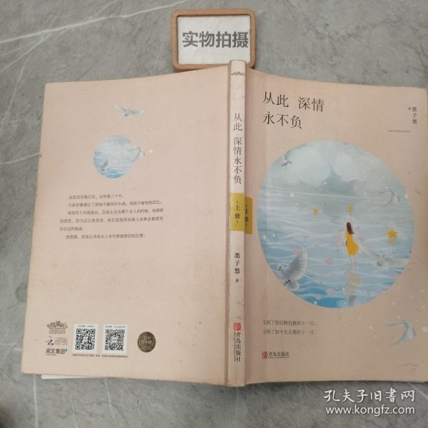 从此深情永不负（上下）