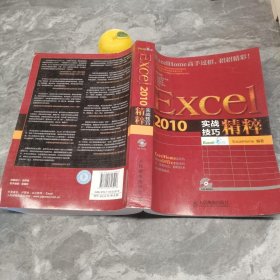 Excel 2010实战技巧精粹