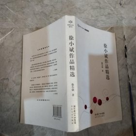 徐小斌作品精选：跨世纪文丛精华本