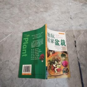 开始玩居家盆栽