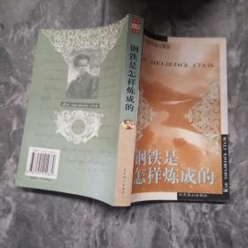 钢铁是怎样炼成的