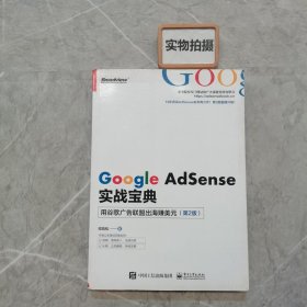 GoogleAdSense实战宝典：用谷歌广告联盟出海赚美元（第2版）