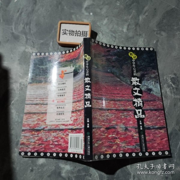 触动中学生心灵的散文精品