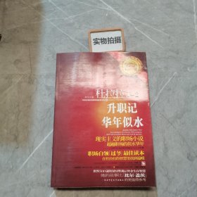 杜拉拉2 华年似水【60万册】 ；