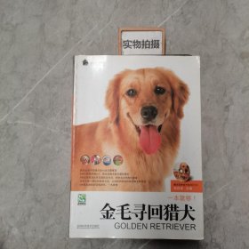 金毛寻回猎犬