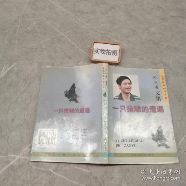 一只猎雕的遭遇：中国动物小说大王 : 沈石溪文集