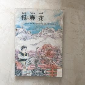 九年义务教育六年制小学语文第八册自读课本：报春花（有极少笔迹）（91773）