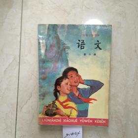 六年制小学课本：语文（第十册，库存新书无笔迹）（91854）