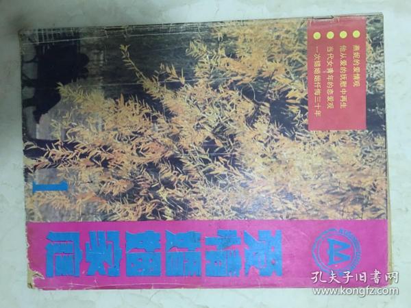 爱情婚姻家庭创刊号（1985年第1期，总第1期）（88455）