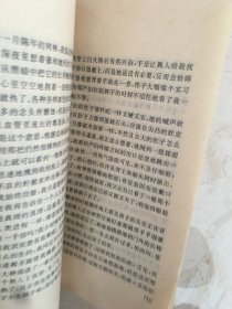 玫瑰过道（94047）