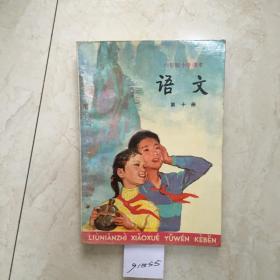 六年制小学课本：语文（第十册，库存新书无笔迹）（91855）