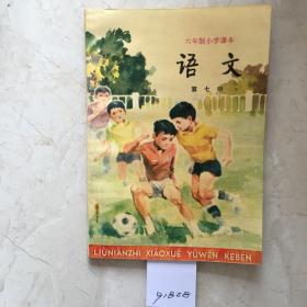 六年制小学课本：语文（第七册，库存新书无笔迹）（91828）