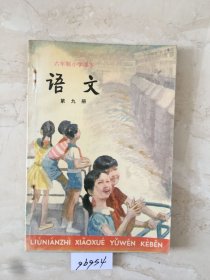 六年制小学课本：语文（第九册，库存新书无笔迹，封底有折痕）（96954）