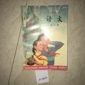 六年制小学课本：语文（第十册，库存新书无笔迹）（91860）