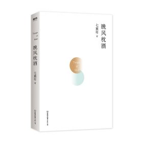 晚风枕酒 七堇年 平生欢灯下尘被窝是青春的坟墓作者2019力作 一部将作者热爱集于一身的美感探索之作