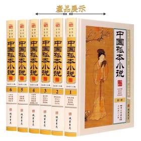 中国孤本小说图文版 全6册精装中国古典文学名著小说集古代孤本小说 双凤奇缘锦帐春风定情人粉妆梦 银瓶梅香闺秘史梧桐影线装书局