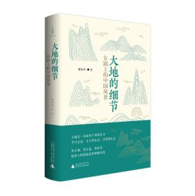 大地的细节：在路上的中国风景 聂作平/著 大地的细节 人文地理 聂作平 诗想者 中国国家地理 广西师范大学出版社