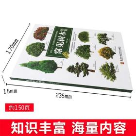 新手入门轻松辨识常见树木彩色图鉴全彩图谱 自然植物科普百科大全书籍小学生全书青少年版给孩子们的中国常见野外识别手册