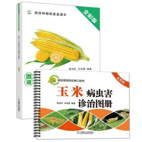 图说玉米病虫害诊断与防治 玉米病虫害诊治图册（全彩版）商鸿生 王凤葵 高效种植致富病虫害田间诊断口袋书 玉米种植书籍