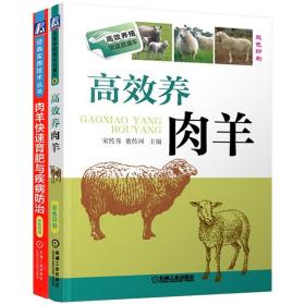 高效养肉羊 肉羊快速育肥与疾病防治 2册套装 肉羊育肥技术 饲料调制 肉羊疾病防治书 科学养羊技术大全书籍 肉羊养殖技术教程
