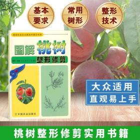 图解桃树整形修剪桃树种植书籍种植书籍大全果树种植栽培技术书桃树管理技术书桃树修剪书籍扁桃树病虫害防治果树修剪与管理