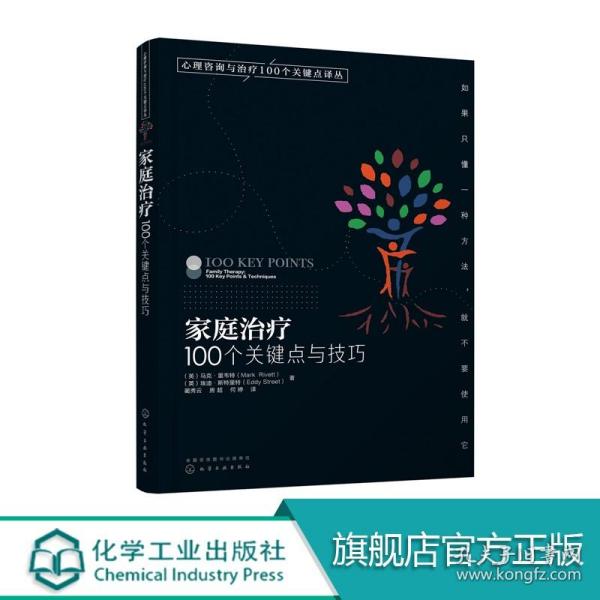 家庭治疗：100个关键点与技巧/心理咨询与治疗100个关键点译丛