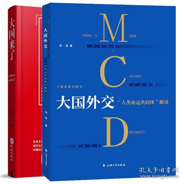 中国特色大国外交：打造人类命运共同体/新时代中国特色社会主义大战略丛书