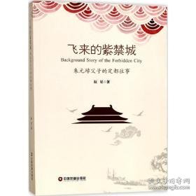 飞来的紫禁城 历史、军事小说 辰星 新华正版