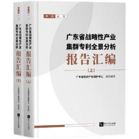 广东省战略性产业集群专利全景分析报告汇编（上、下）