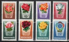 匈牙利邮票1962年玫瑰花8全