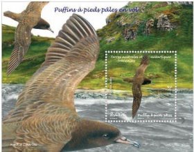 法属南极领地2019鸟类邮票M