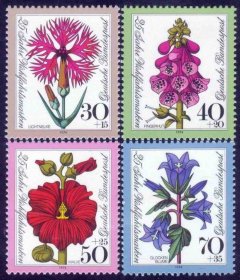 德国邮票1974：附捐 花