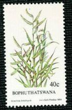 博普塔茨瓦纳邮票 1984年 草本植物 1枚新 MNH 外国邮票