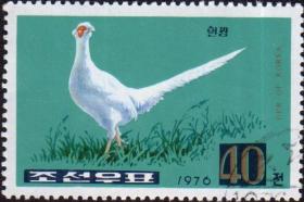朝鲜邮票1976年山鸡  盖销