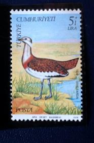 1979年   土耳其邮票   鸟   1枚