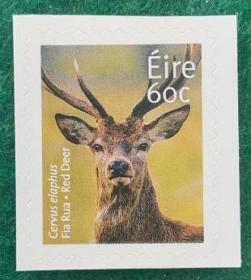 爱尔兰邮票 2013年 不干胶邮票 动物 赤鹿 新票 1.6美金 外国邮票