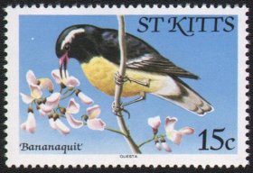 V156   圣基茨1981年珍稀鸟类邮票【圣基茨】