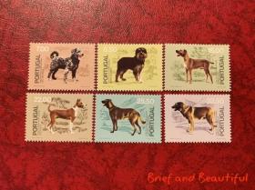 葡萄牙 动物 狗 名犬 1981年 邮票