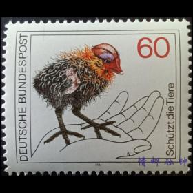 西德联邦德国邮票1981年 保护野生动物邮票 骨顶鸡 雏鸡 新 1全