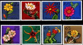波兰邮票1981年 花卉 8全