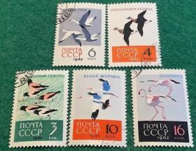 苏联邮票 1962年 鸟类 盖销5全 外国邮票