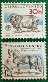 捷克斯洛伐克邮票 1976年 雕刻版 动物 绵羊 马 销票 外国邮票