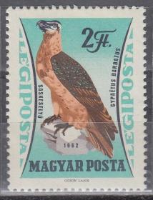 匈牙利1962年邮票-猛禽