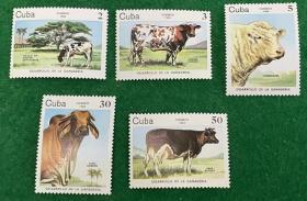 古巴邮票 1984年 畜牧业 牛 奶牛 5全 MNH
