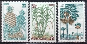 49.柬埔寨邮票1962年 植物 菠萝 甘蔗 棕榈树 雕刻版 3全 9